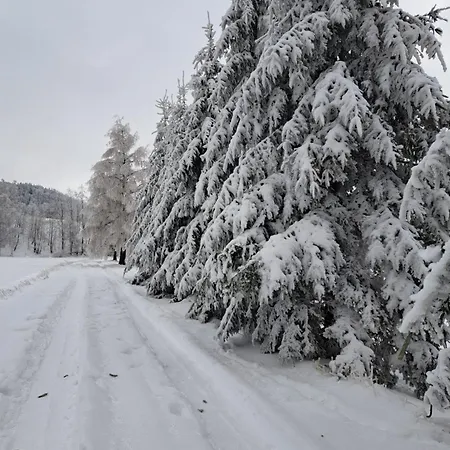 Gospodarstwo Zacisze