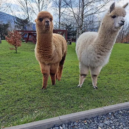 Apartmán Gospodarstwo Zacisze