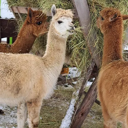 Appartement Gospodarstwo Zacisze Kowary