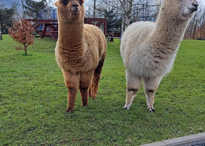 Apartmán Gospodarstwo Zacisze