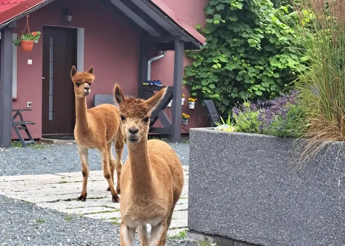 Gospodarstwo Zacisze * Kowary