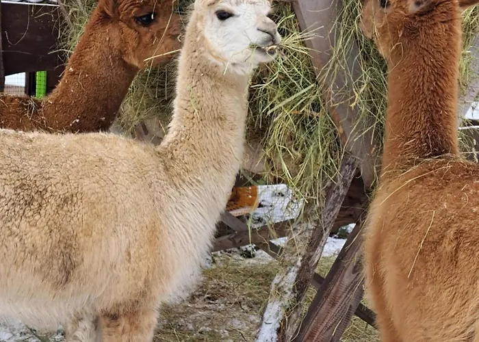 Appartement Gospodarstwo Zacisze Kowary